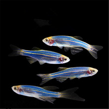 �{ݮ���R�~�ɹ��{���R�~���BС�͟Ꭷ�~�^�p�~��ˮ�~ˮ����w����