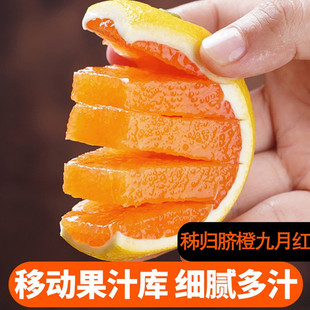 �����¼t�����ȡ��������wĚ�ȶ������ե֭�����֭���ӱ�֭