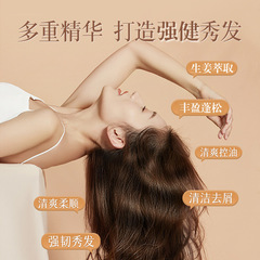 陶滋台灣老薑生薑洗髮水控油健發無硅油天然姜粒防掉養發去屑