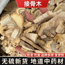 Herbals接骨木 续骨木接骨草续骨草中药材接骨木代打粉批发代发