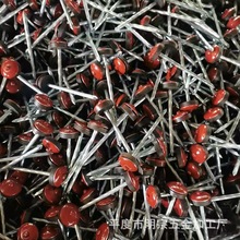 ���ᴩ�z�|������ݼy��U����ᔴ��^��ñ���