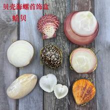 蛤贝天然海螺贝壳珍珠贝油画扇贝首饰盒工艺品批发厂家直销珊瑚