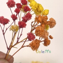 �M���������������l �����b�ɻ��� �b��滨�[���Ĕz����