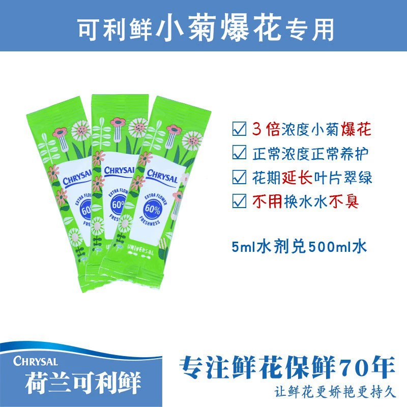 Голландская свежая Хризантема Дейзи специально для продвижения открытия домашнего консерванта свежих цветов, консерванта, питательного раствора