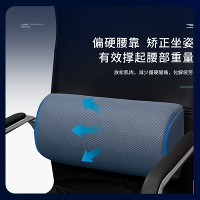 Car Lumbar Support 4D: Waist support