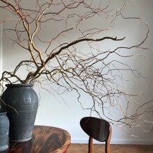 60-260cmcbҾӱWLɘ֦SlֱNins