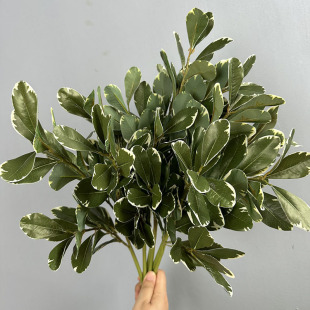 �����~����ͩ�Gֲ��b��y߅�~�����~�¹��~��c�Gֲ�b��y�~��