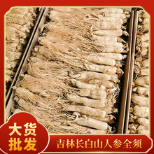 批发吉林长白山高龄干人参整根生晒参全须参东北特产干白参中药材