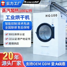 洗涤烘干设备;整熨设备;其他整熨设备