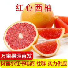 �t�������ϷǼt����������ˬ�����֮������r�ЋDˮ����֭�t��t��