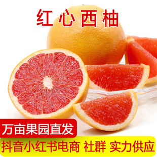 �t�������ϷǼt����������ˬ�����֮������r�ЋDˮ����֭�t��t��