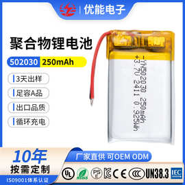厂家供应502030 250Mah聚合物锂电池250mAh 3.7v锂电芯三元锂电池