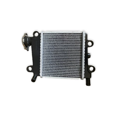 Suitable for Yamaha Nmax155/Aerox155 Nvx155/B6H Motorcycle Water Tank Radiator (Water tank) - 2dp-e240a-00