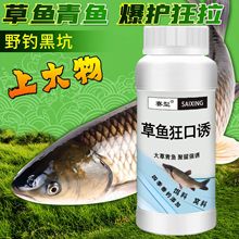 ~ζSֱNݿT~~DӄڿҰើ