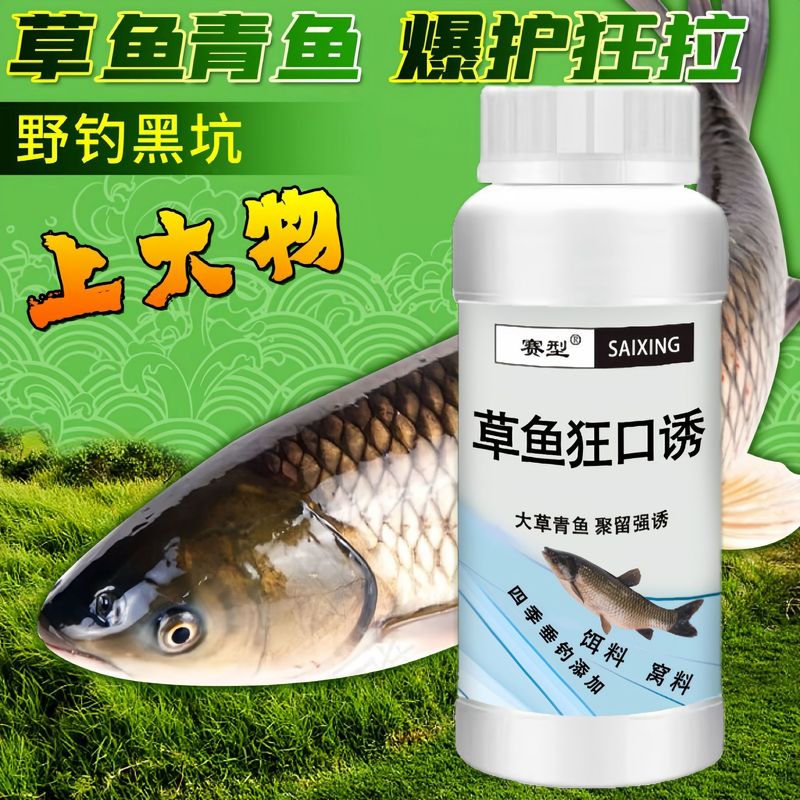魚の味の王のメーカーは直接販売します。|undefined
