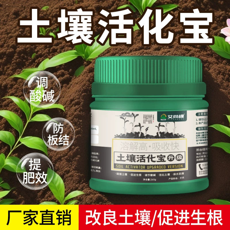 Айшан дерево почвы возрождает сосны и корни