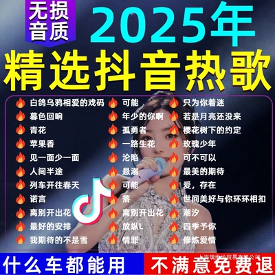 Car USB Flash Drive Songs 2025 New Hot Songs Internet Celebrity Popular Classic Music Lossless Sound Quality Car USB Flash Drive Dj