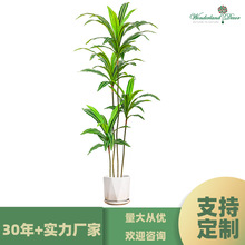 �羳���Q�¿�W�L������ط���Gֲ�����F�����F�҃ȼҾ��b�