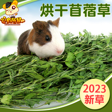 烘干苜蓿草2023新草兔粮兔子饲料豚鼠龙猫粮荷兰猪幼兔干草牧草