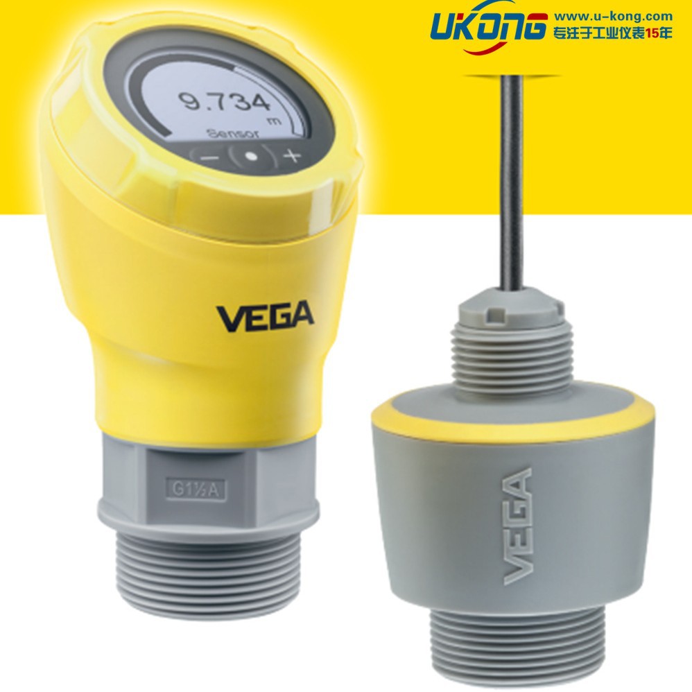 VEGA雷达物位计C11 C21 C22雷达料位计VEGAPULS 11 31