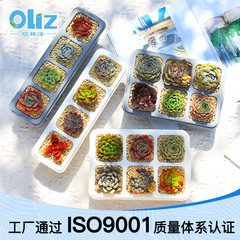 メーカー卸売プラスチック製多肉植物用小型植木鉢 T4穴、6穴穴あきポット、底付き正方形、グレーと白、低MOQ、インスタイル