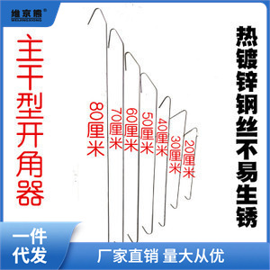 果树拉枝器主干型开角压枝器苹果樱桃树拉平纺锤形定型器园林工祥