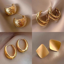 金属高级感耳环2024年新款潮爆款耳钉女时尚气质轻奢辣妹哑光耳饰