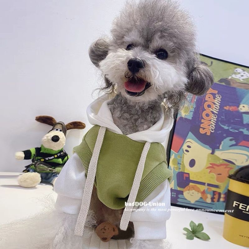 봄 여름 강아지 옷 트렌디 브랜드 탈피 방지 슈나우저 테디 비숑 포메라니안 찻잔 강아지와 고양이 옷 노란색 명예