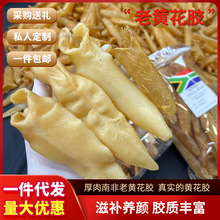 南非65头黄花胶天然鱼胶筒与花胶一德路海味干货批发
