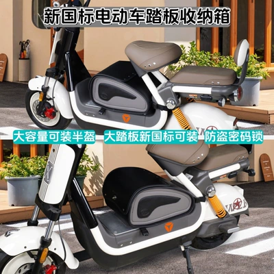 Standard Electric Scooter with: Motorcycle trunk