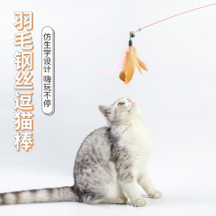 古典的な長い棒は猫の棒をからかうのに耐えます。