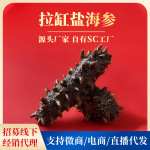 源头工厂现货批发大连海参干货拉缸盐顶火高刺野生滋补