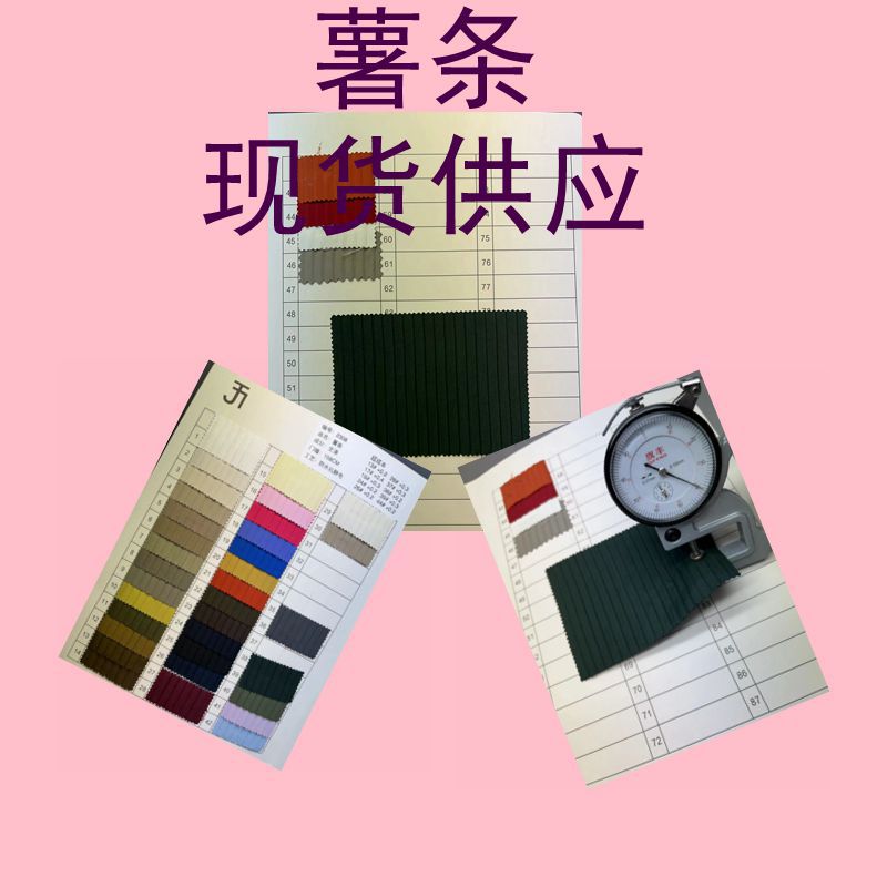 现货供应 薯条 羽绒服 棉服 冲锋衣秋冬面料