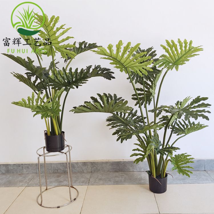 模擬大型アオウコンガリウム緑植物鉢植え組み合わせ造園リビングルームバルコニー屋内小道具装飾品卸売春ウコン|undefined