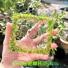 С�t�����ջ��@������diy�ֹ��������ϴ����������z���u���