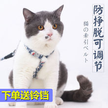 猫绳猫咪防挣脱牵引绳绳子遛胸背兔子幼链子可调节溜代发代货代销