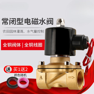 All copper normally closed solenoid valve water valve AC220V switch valve DC24V valve DC12V 2 points 3 points 4 points 6 points 1 inch
