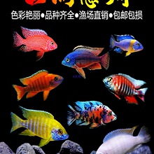 ���������~�ھ����ӻ��w��С�����B�׻�Ꭷ�^�p�~��ˮ�~