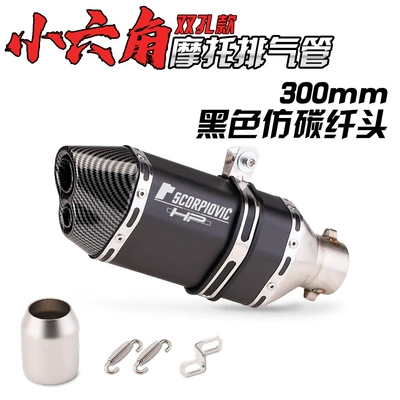Exhaust pipe – Motorcycle modification exhaust pipe - 300-double-hole-black-imitation-carbon-head
