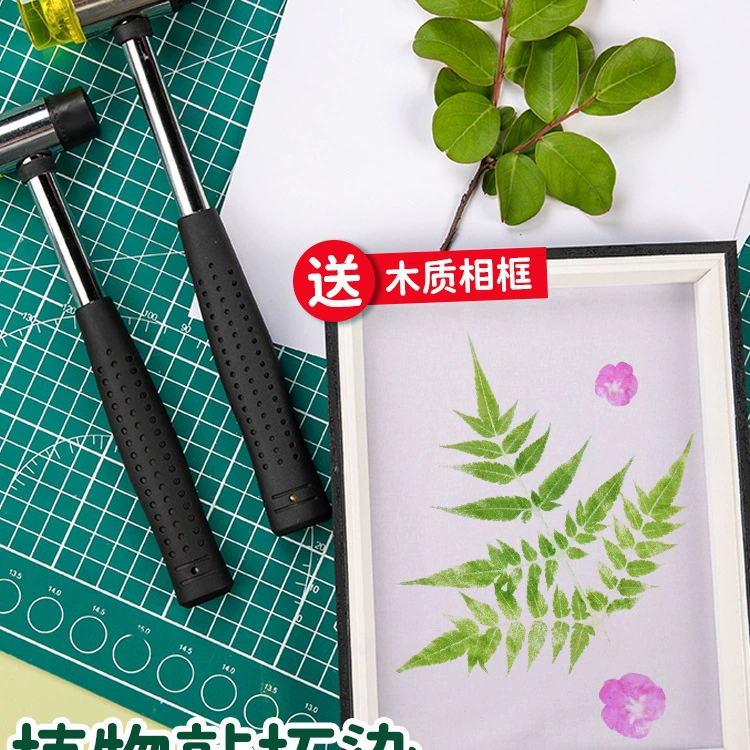 Набор для творчества: краситель для растений, ткань для тай-дай, квадратное полотенце, молоток для окрашивания, принт с цветами и листьями, веер, холщовая сумка