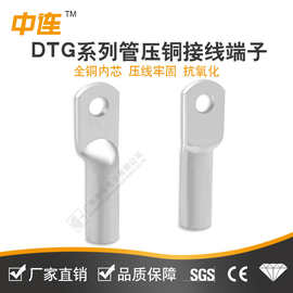 DTG铜鼻子镀锡线鼻子接线端子紫铜线耳电线电缆终端铜接头管压鼻