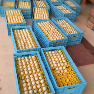 ���P�������ۯB����u������ۯB���D�������װ˂�����57Ԫһ��