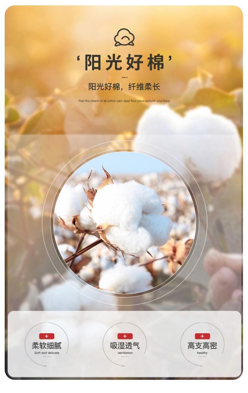 O1CN01xuX7Jo1hdS5lXPqiZ_!!2379424300-0-cib.jpg?__r__=1731378953916