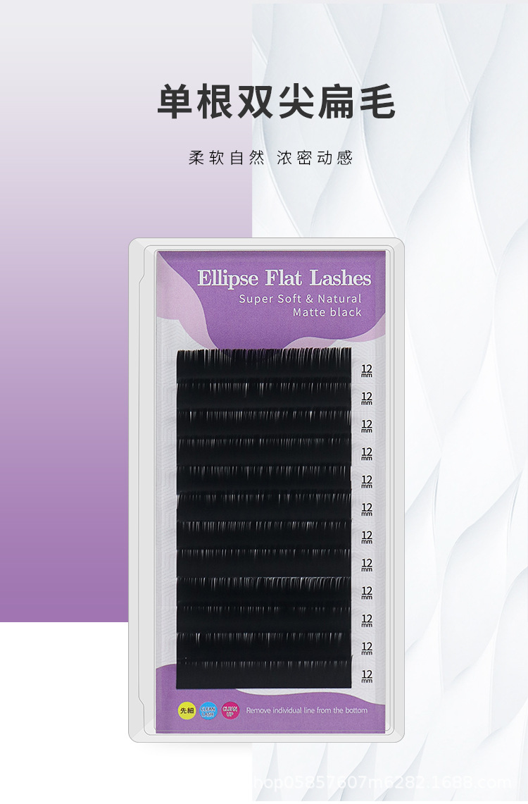 双尖扁毛睫毛 双尖扁毛睫毛