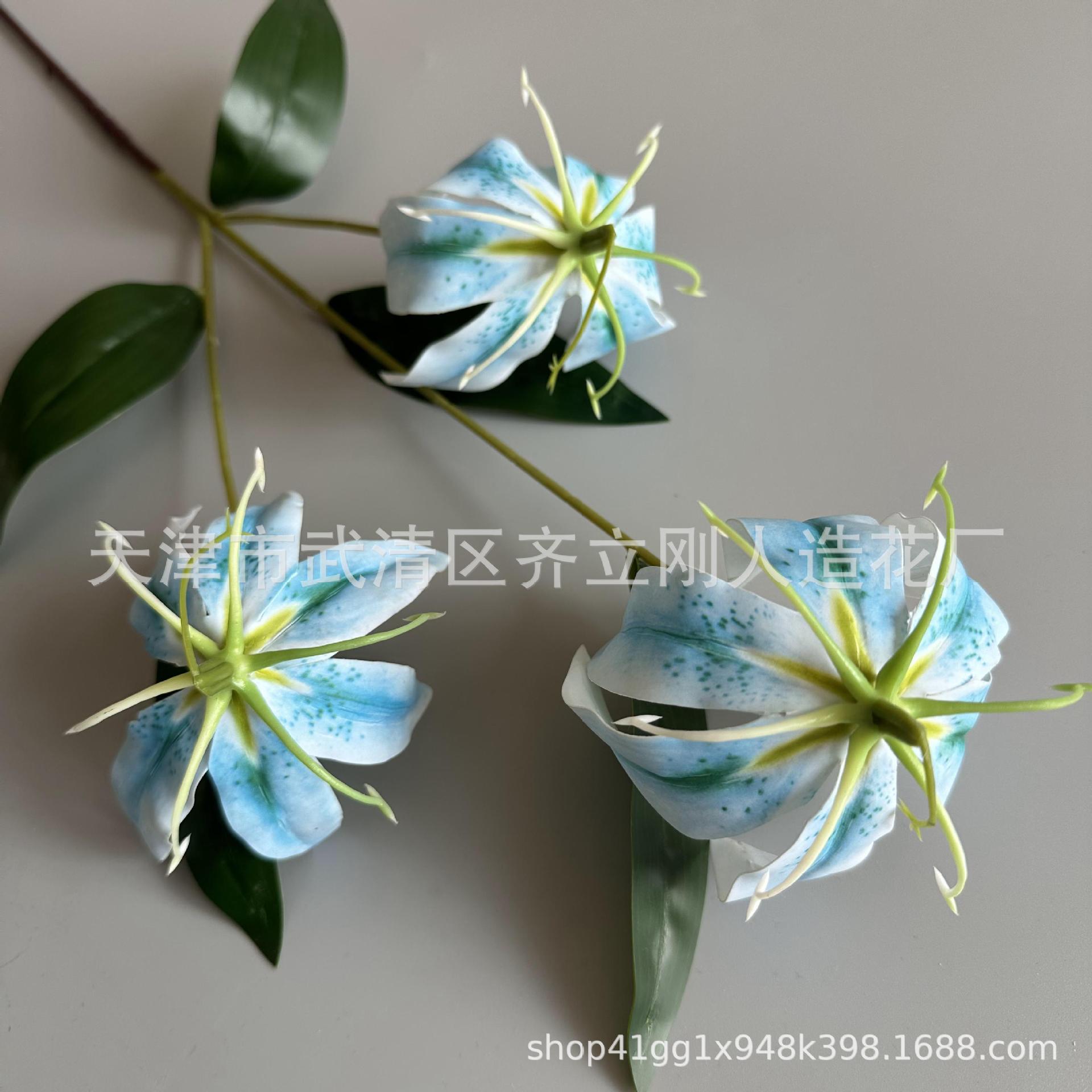 4호
