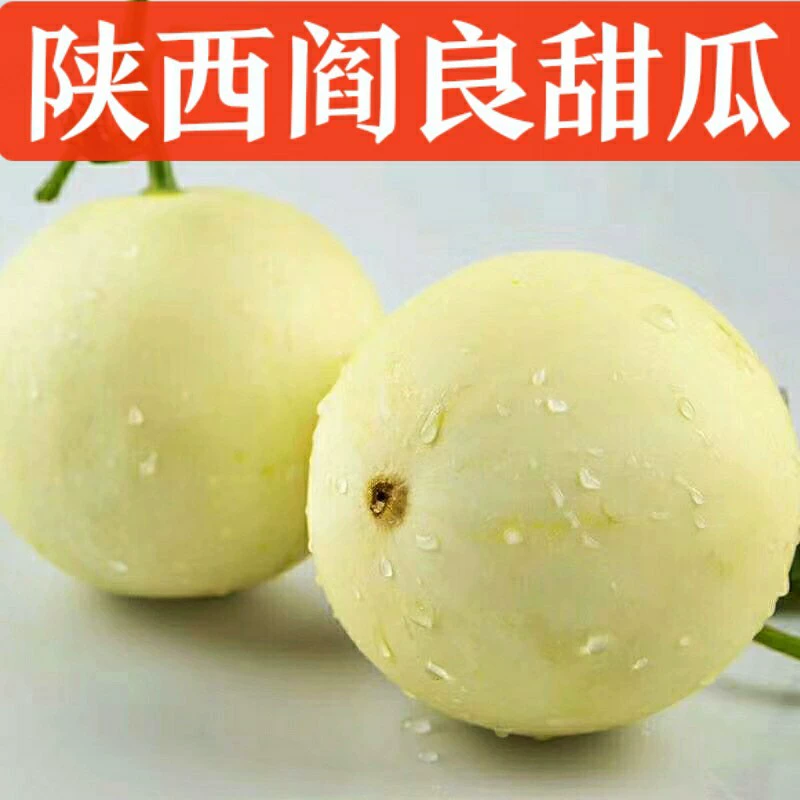 Шаньси Янлианг дыня, ароматная дыня, сладкие фрукты, свежевыжатая дыня, тюльпановая дыня, желтая речная медовая дыня
