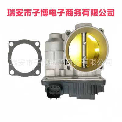 16119-Ae013 16119-8H30C Nissan Teana 2.5L yeni qaz tənzimləyicisi üçün uyğundur