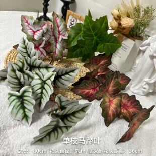���滨��֧�R���~��c��Y���b���ֲ�����·���~���~�����l
