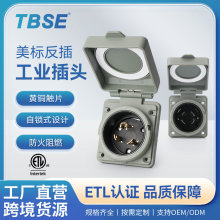 ��/TBSE��ʽ������ѹ�ҵ��ͷ20A30A125/250V��ˮ�������Ѳ�ͷ