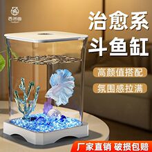 ���⶷����̬��������ɸ�С�������쾰�������Сҹ��С�������